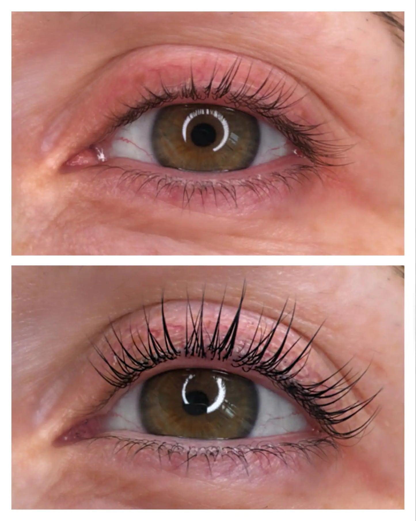 Lash Serum